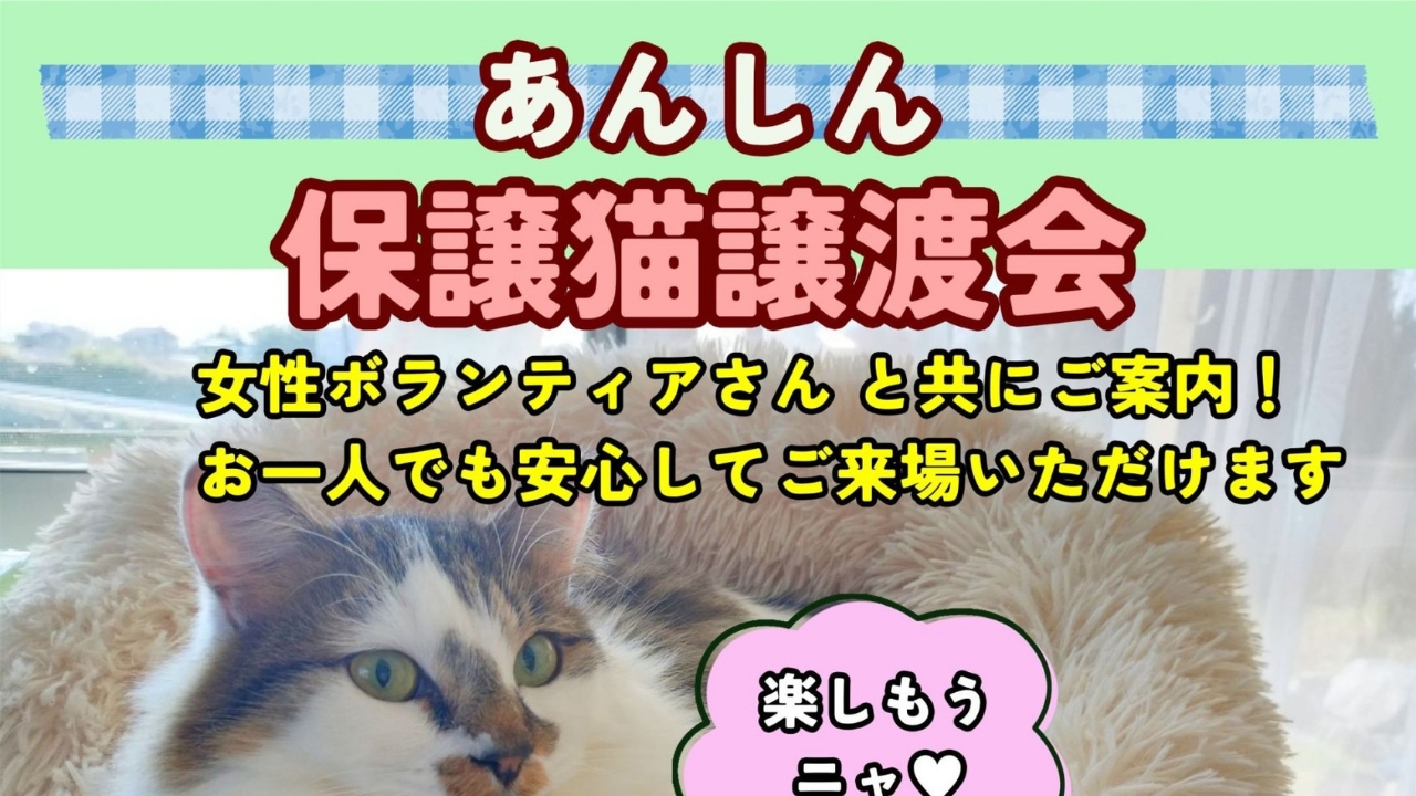 4/7(日)13:00~15:00 第５回「あんしん保護猫譲渡会」を開催します！