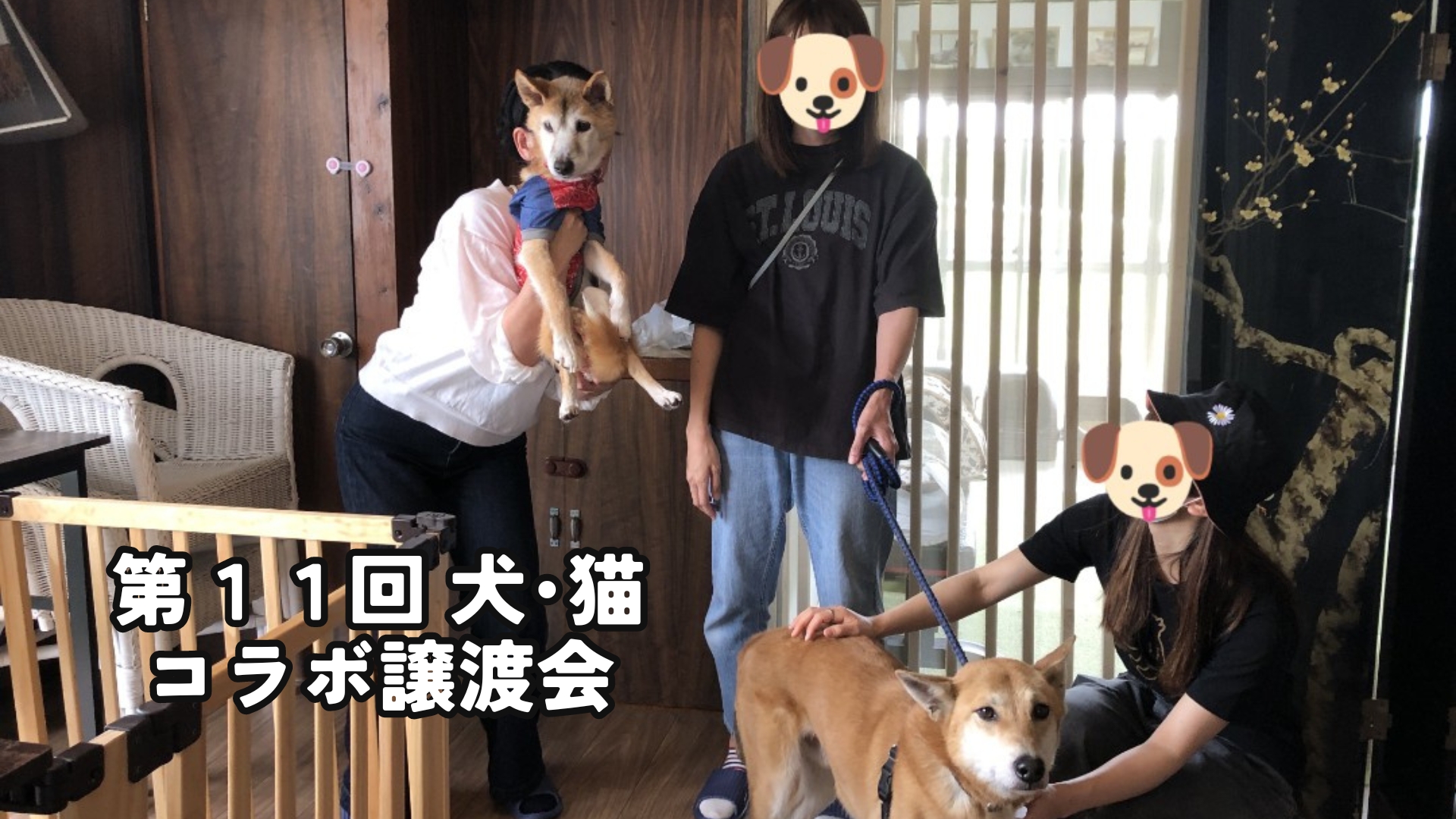 第11回 犬･猫コラボ譲渡会🐶誠にありがとうございました！！