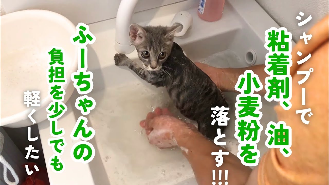【その後】ふう③お風呂に入ってリセット