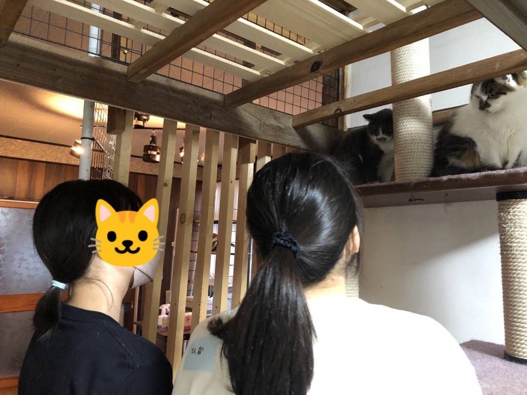 第２回お世話体験🐈群馬国際アカデミーから