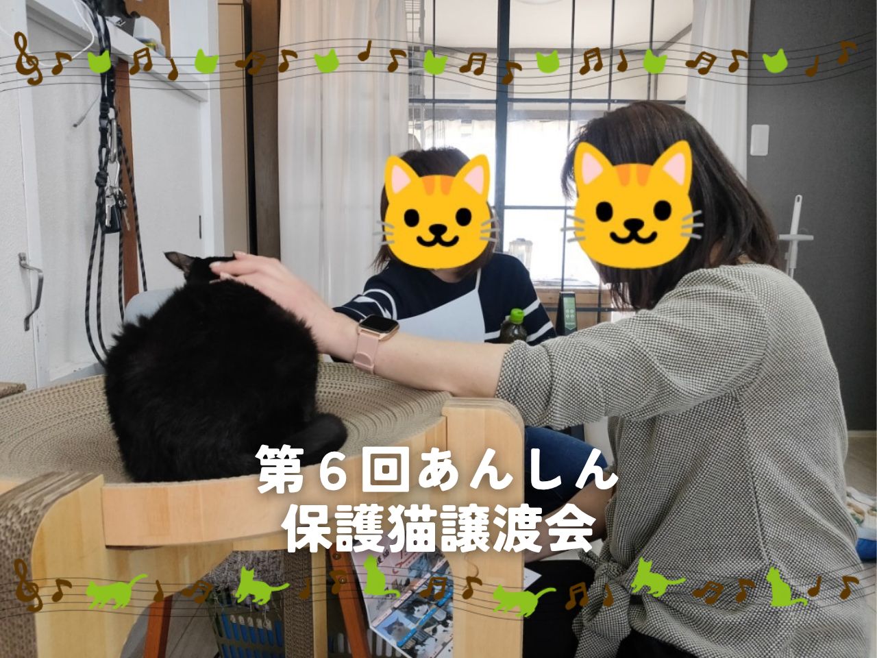 第６回あんしん保護猫譲渡会🐈
