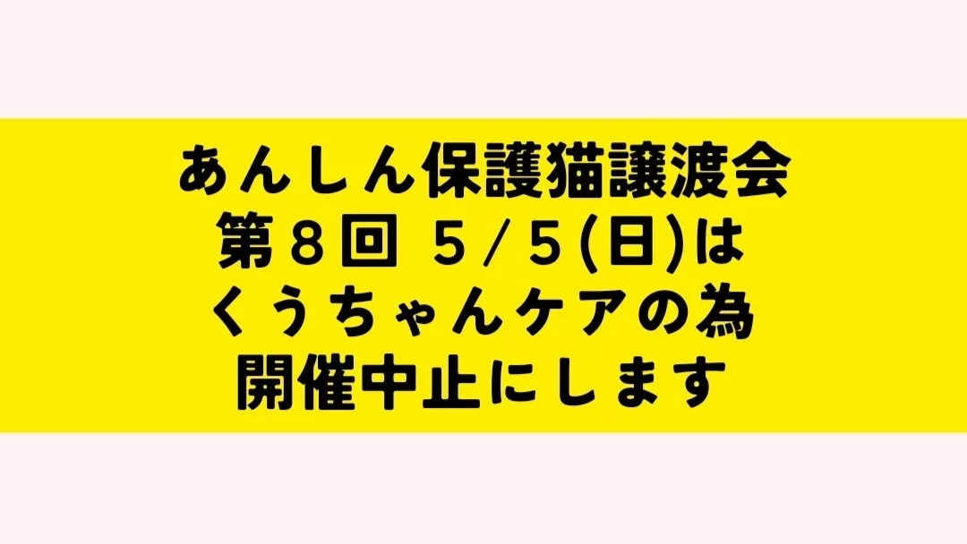 第８回あんしん保護猫譲渡会🐈は中止にいたします